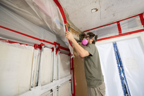 Best Mold Damage Restoration  in Georgetown, CA