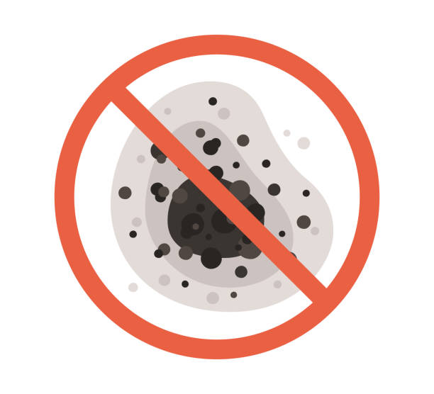 Best Residential Mold Inspection & Testing  in Georgetown, CA