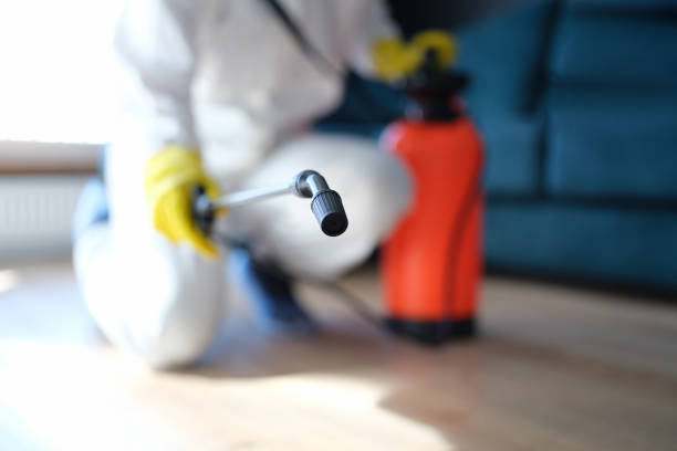Dehumidification Services in Georgetown, CA