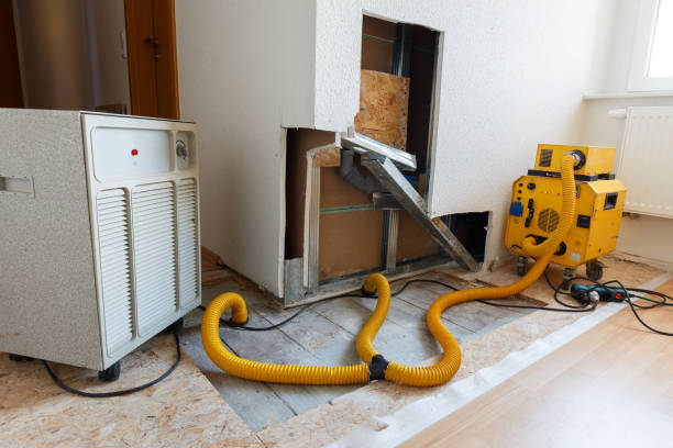  Georgetown, CA Mold Removal Pros