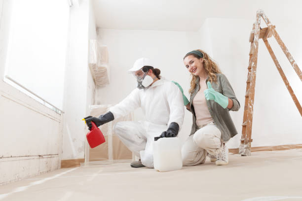 Best Comprehensive Air Testing for Mold Contaminants  in Georgetown, CA